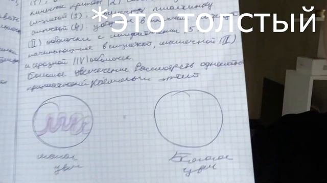КАК ПОДГОТОВИТЬСЯ К ЭКЗАМЕНУ ПО ГИСТОЛОГИИ С НУЛЯ ЗА НЕДЕЛЮ?  Как выучить гистологию в медицинском