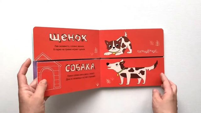 4dcc0598a79891acf6528fead095ea37