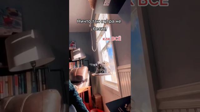 Шутка минутка