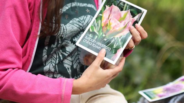 Cebulki Kwiatowe. Kupujemy I Przechowujemy. Czosnek, Tulipany, Krokusy, Narcyzy.