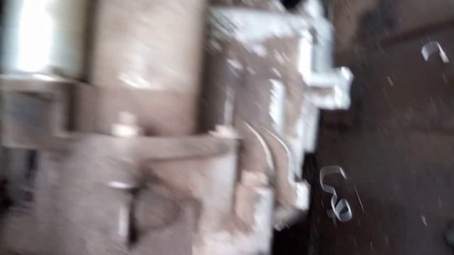 Дизайнерские вкусы