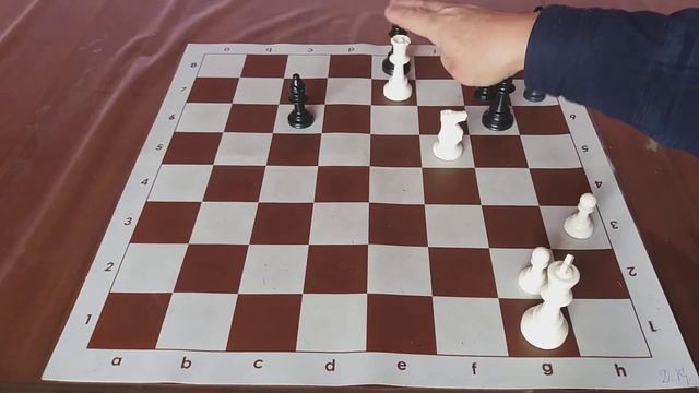 Шахматы для начинающих. Мат в 1 ход.