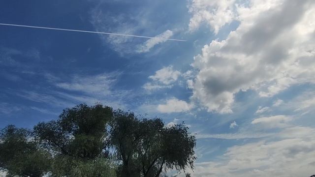 Милош Станкович