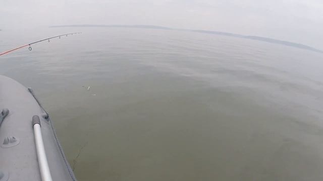 Решили поймать поменьше... Ловля окуня на спиннинг на силикон. Окунь на воблер