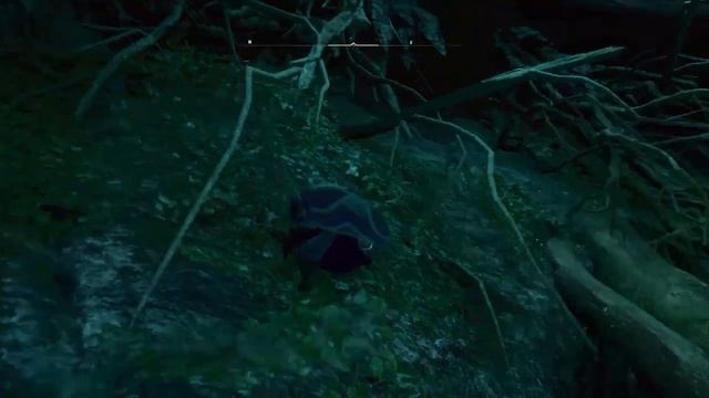 Assassin's Creed Valhalla: Odin's Runes Mystery: New Hidden Passages And Clues Found: Theories-Idea