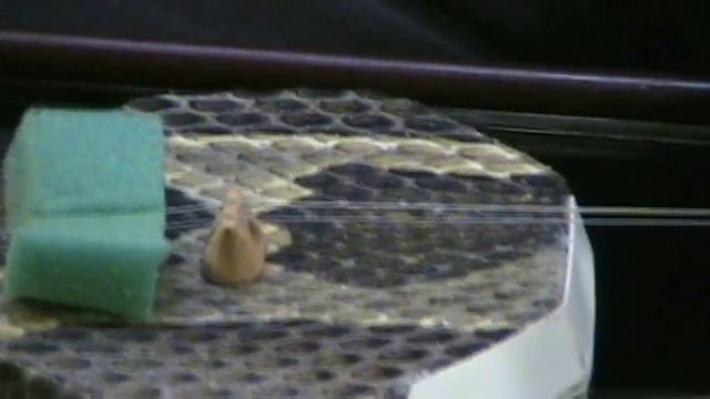 Erhu Overview With David Brown HD (CHI056)