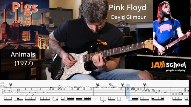 Pink Floyd Pigs David Gilmour Guitar Solo With Tabs