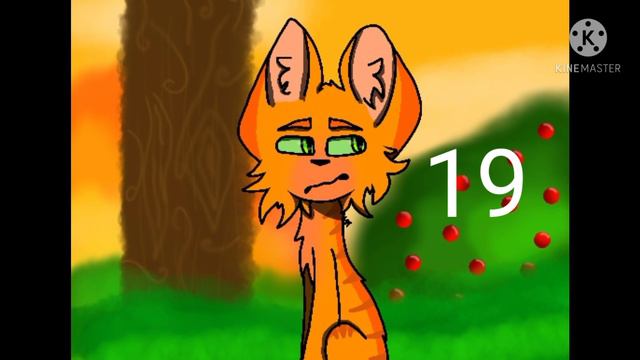 I See Fire | Map Warriors Cats