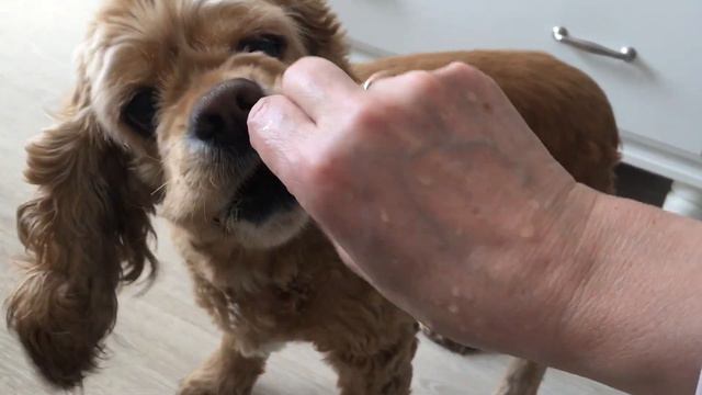 Угощение после занятий