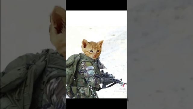 Иван Сусоев