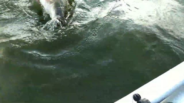 СомяРа ВзЯял !)