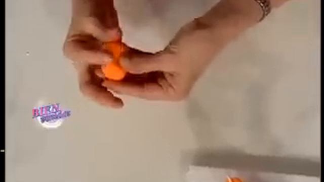 Mirta Biscardi - Bienvenidas TV - Dragoncito