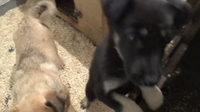 E8b73c664b01b330f3c705264e073d83