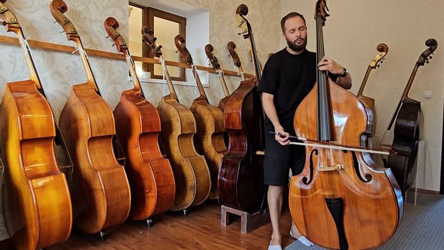 Контрабас №116