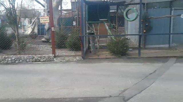 ХИЩНЫЕ ПТИЦЫ ГРИФ И ОРЛАН! А ТАК ЖЕ ЧЕРНЫЙ ВОРОН! ЗООПАРК В МИНСКЕ! ЧАСТЬ 5!