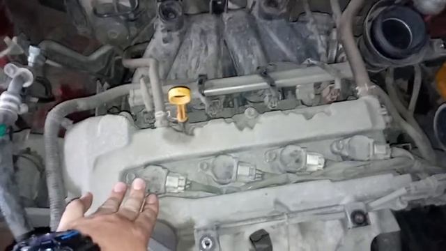 Чистота - наше предназначение