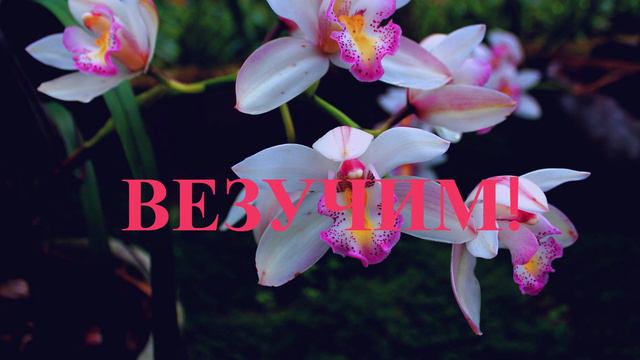 Пожелания другу!