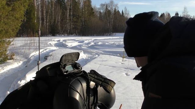 Радиолюбительский день в лесу Пермского края