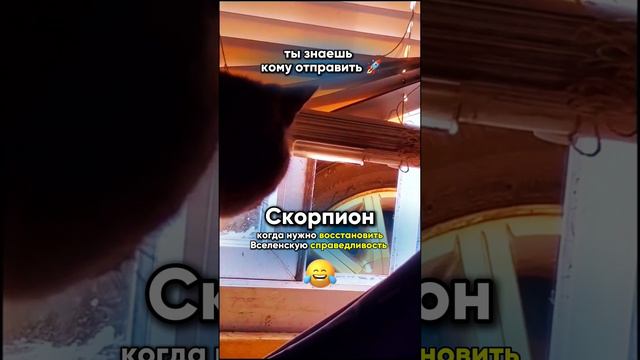 Скорпион 🦂