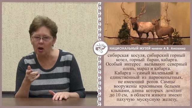 Животный мир Республики Алтай