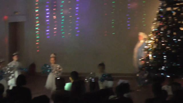 г.Рошаль.Лицей.Новогодний утреник.2017