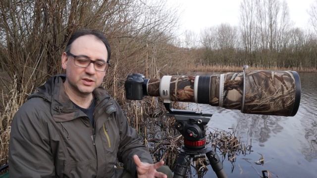 Bird Photography - 5 Simple Tips For Better Photos
