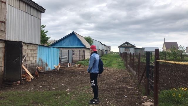 Сделал ХИТ из КОРОВЫ