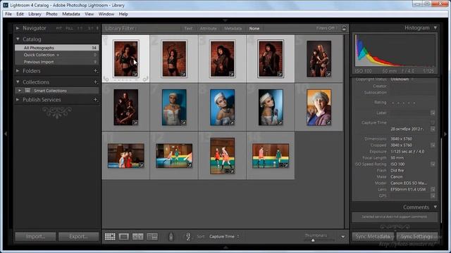 Lightroom Быстрый старт. Урок №4 из 11. Автор Евгений Карташов