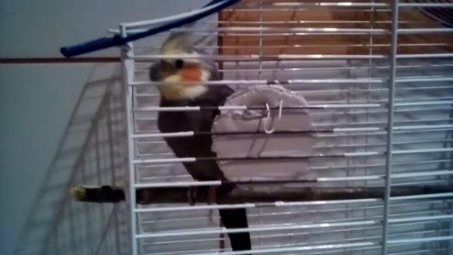 45472458bf5784f22f88ced7dcc6aabd