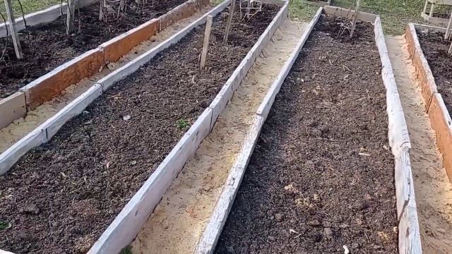 Опять всего понемногу. Пчельник, малина, окно. 100.