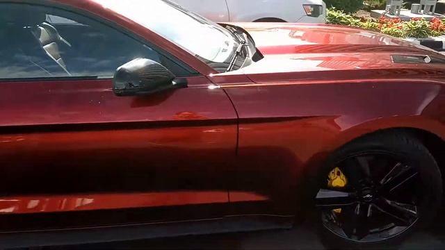 Американская легенда) форд мустанг))))))