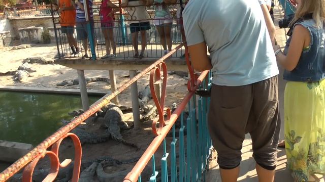 Утки и крокодилы