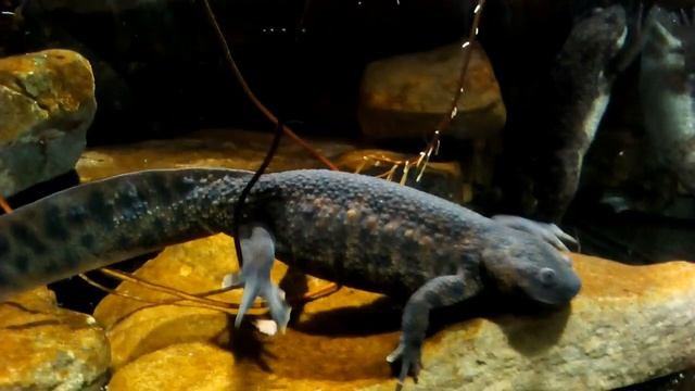 705dcadfae574120b922e8bb1d426d36