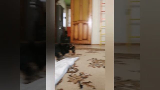 2e71495beb7c8416d3c4f75492d7e840