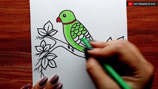 Parrot Drawing || How To Draw Parrot Step By Step || Bird Scenery Drawing || Draw Parrot...