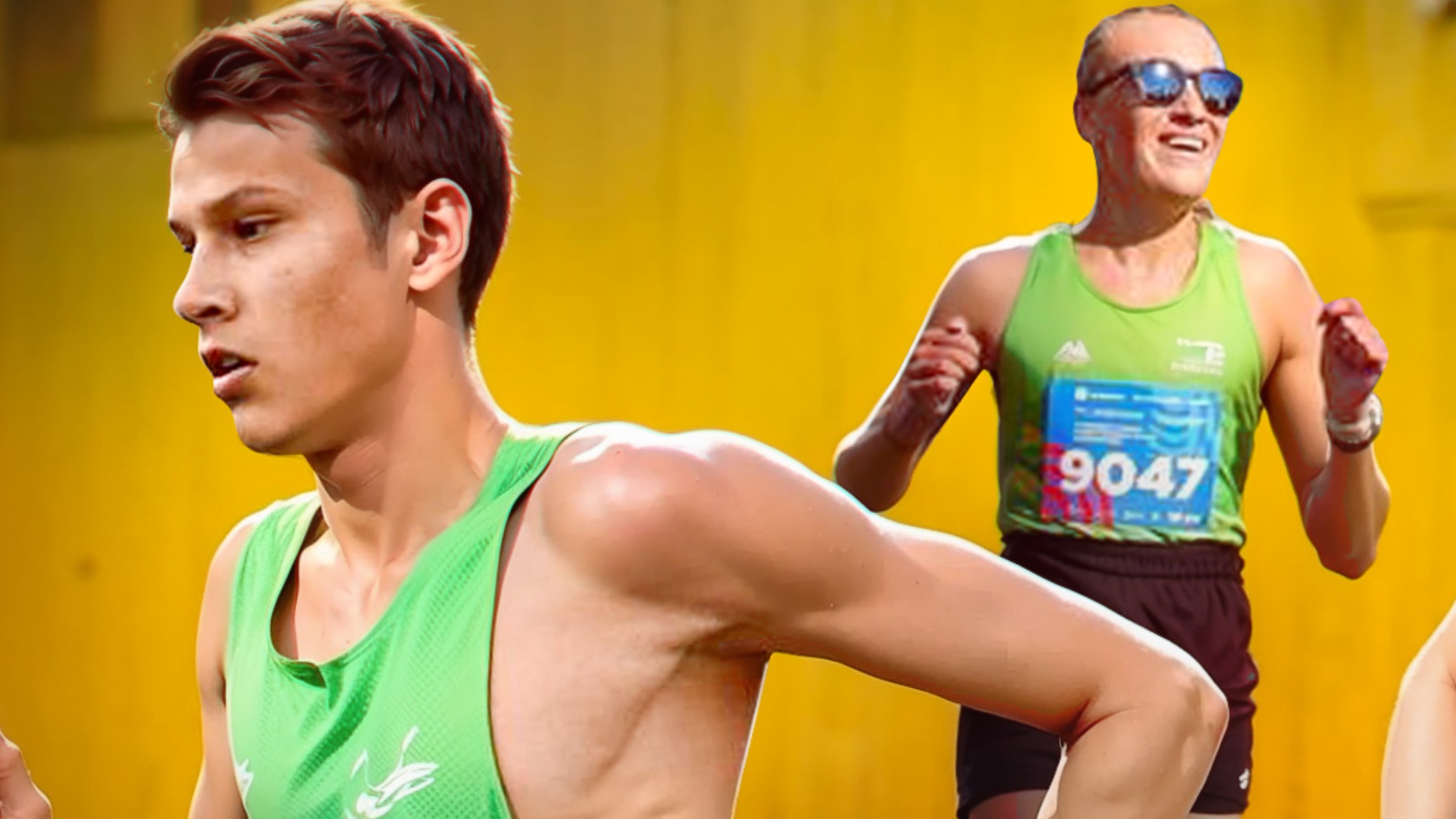 Сосновка спустя год после 