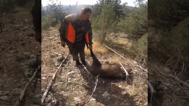 Охота в Крыму на дикого кабана.