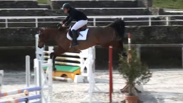 ♥ Rhum Du Richemont- Jumping Horse  By J'Ai L'Espoir D'Elle
