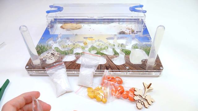 МУРАВЬИНАЯ ФЕРМА ШИРО 2 - Украсил ферму и дал муравьям печенья