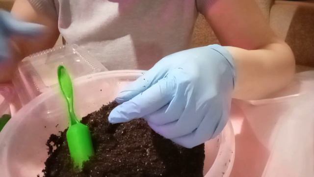 Обязательная работа при вытянутой рассаде.