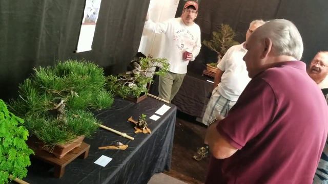 Ed Trout - Bonsai Artist