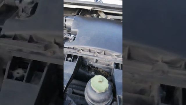 Крафтер 2.0 2017г стучит иногда на холодную. В чем причина?