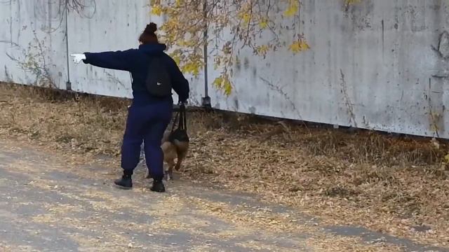 Прогулка с Келли
