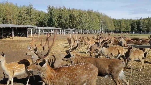 1b4fdab1f3ab28f4431e638e14a9fd04