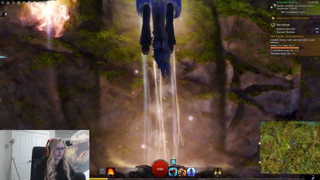 GW2 Dragonfall Gnarlgrove Mastery Point And Vista