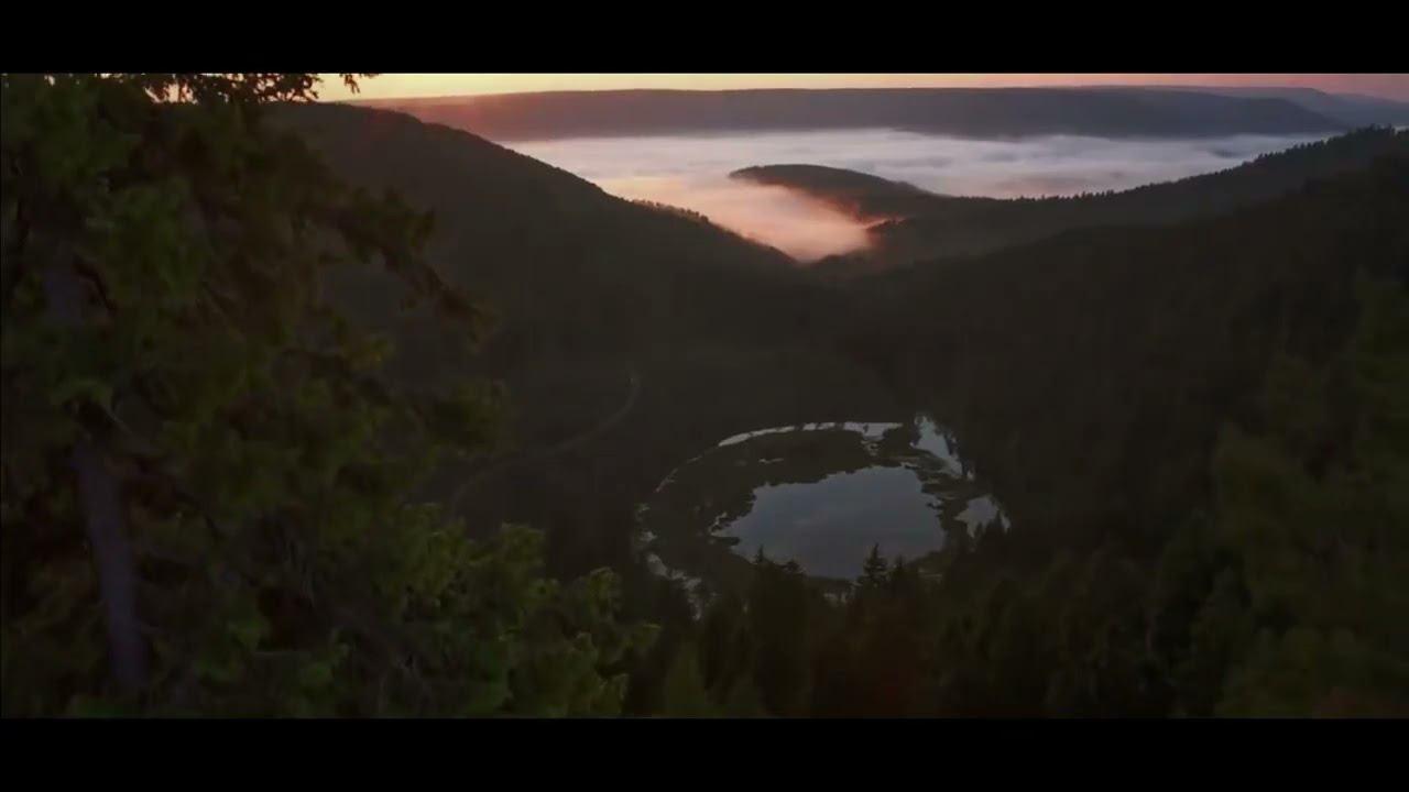 Fi - Cus T - Monster Kill