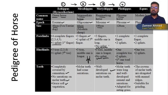 A31610112486074a476c84fc7981030e