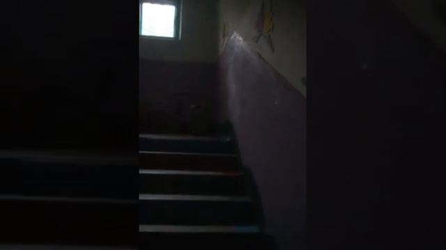 0a163d52469de5984456c04e48f40b1f