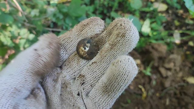 приключения ВИТЯЯ/коп по войне/находочки