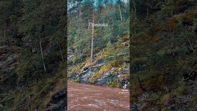 F0c09c4e6ad6d765a8803393c2311512